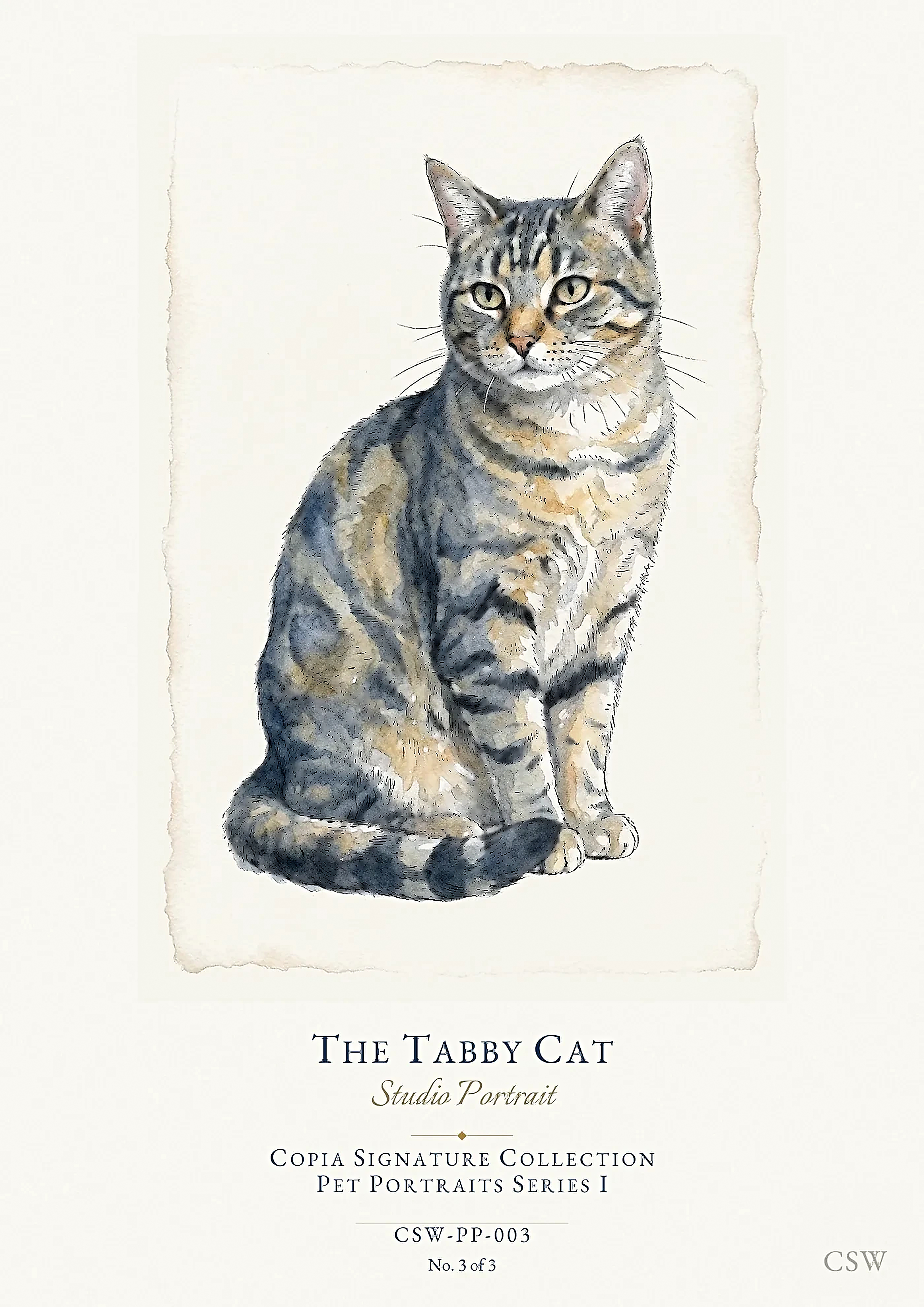 The Tabby Cat, Studio Portrait — original Copia Signature watercolour