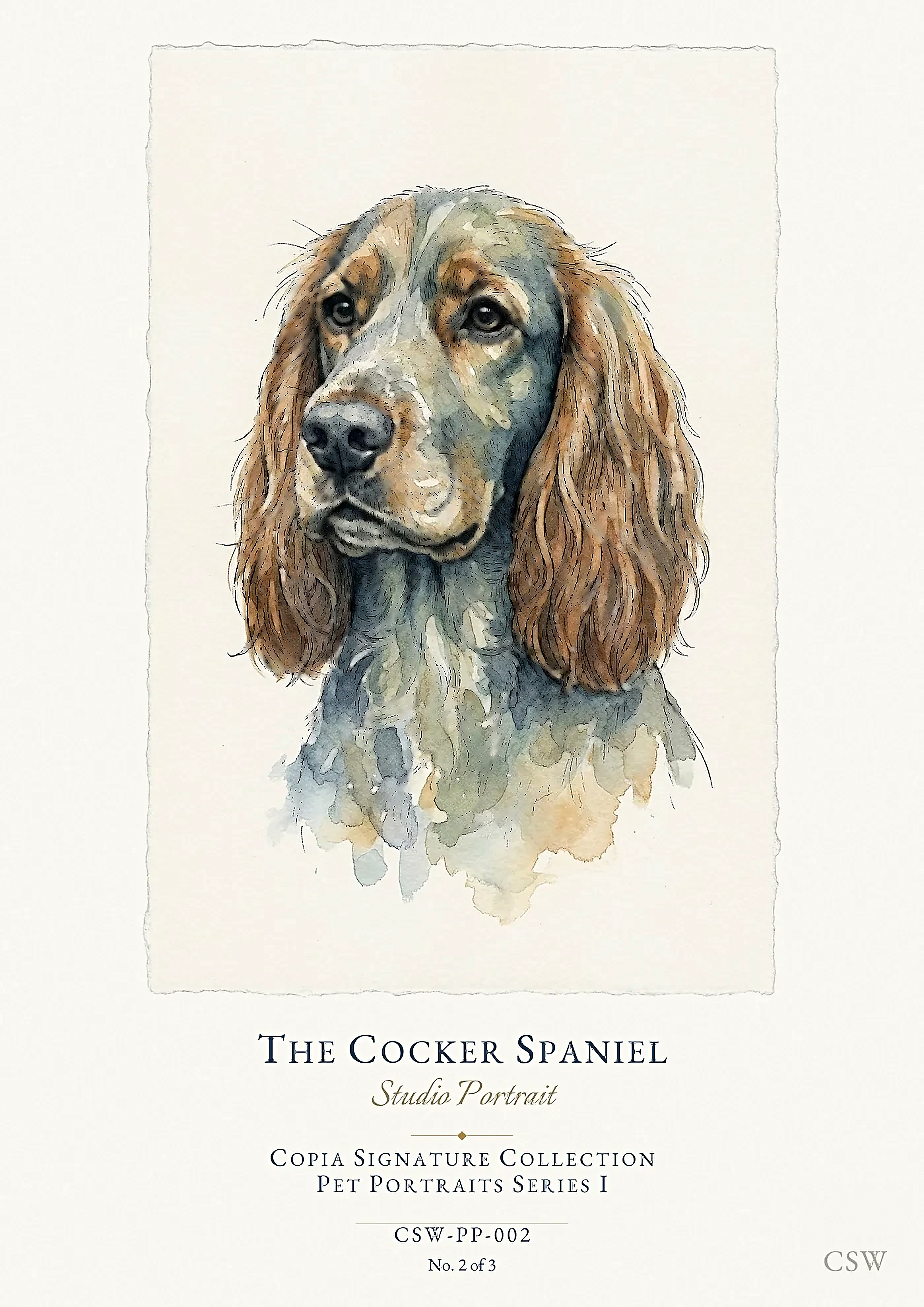 The Cocker Spaniel, Studio Portrait — original Copia Signature watercolour